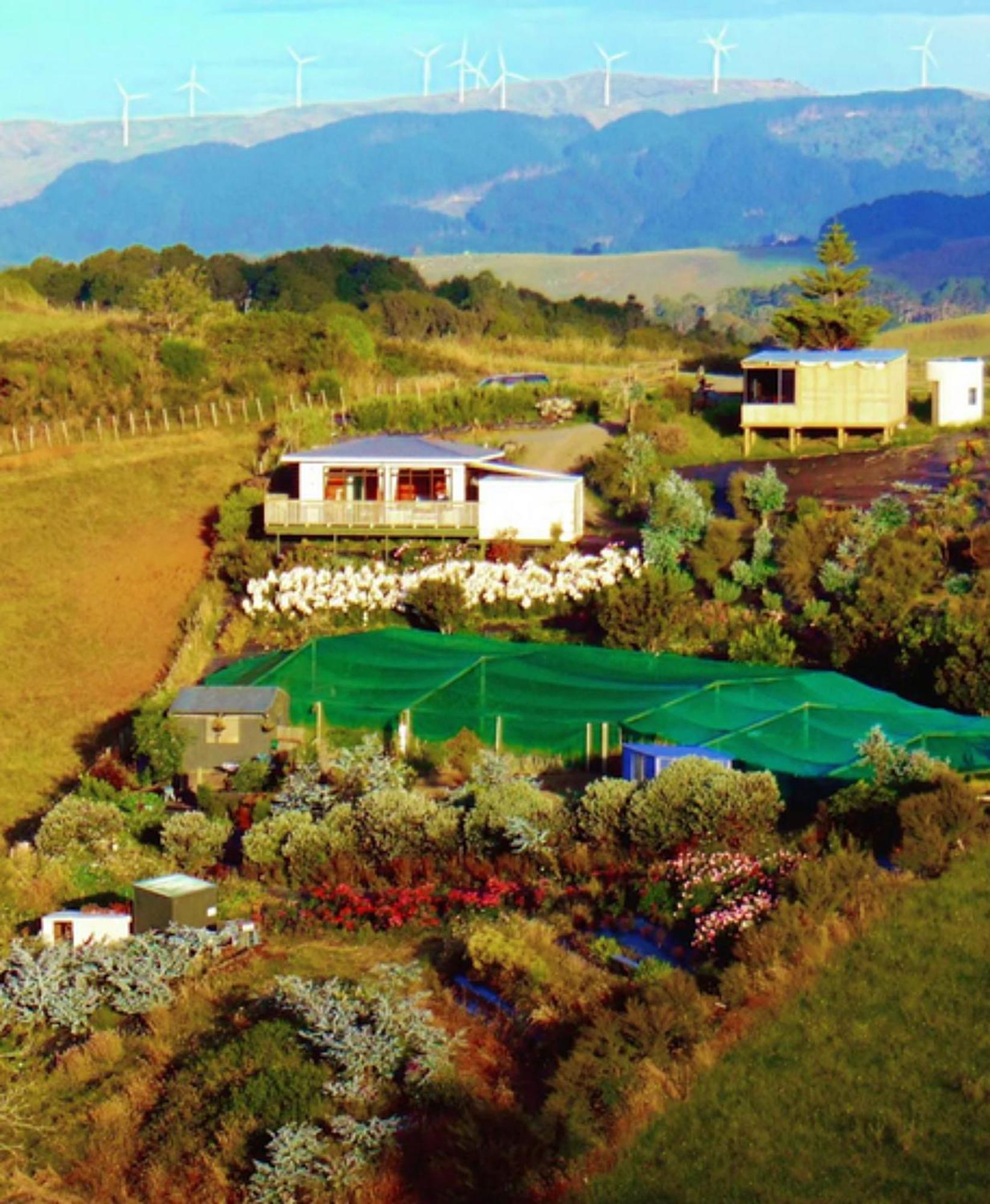 Villa Raglan's Tranquil Garden Retreat - Moa Stone *